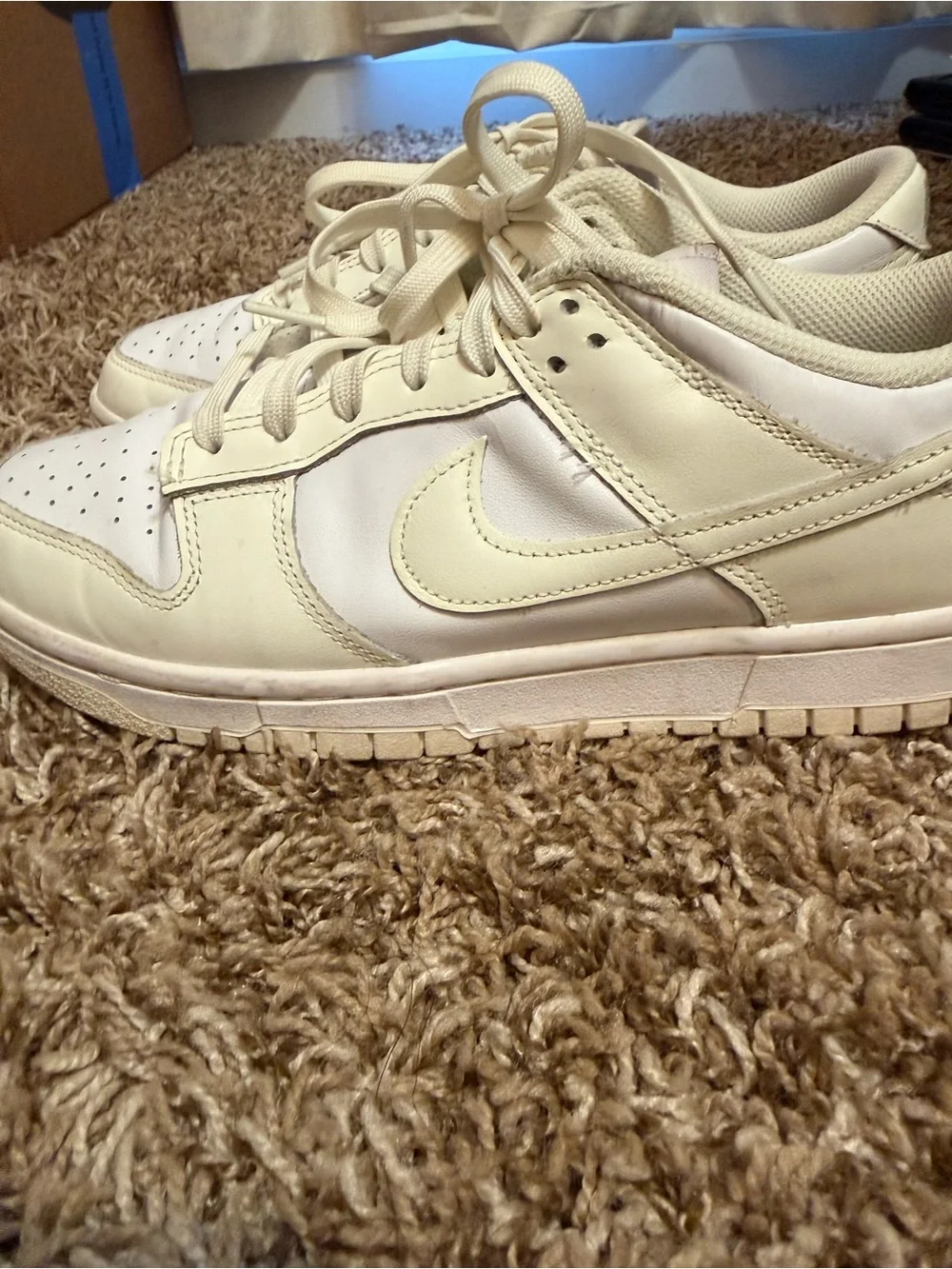 Nike Women’s Low-Top Sneakers in Cream/Off-White
